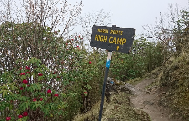 自然豊かな森の中を歩くコース
 もあり､植物などを鑑賞しながら登山を楽しめます。