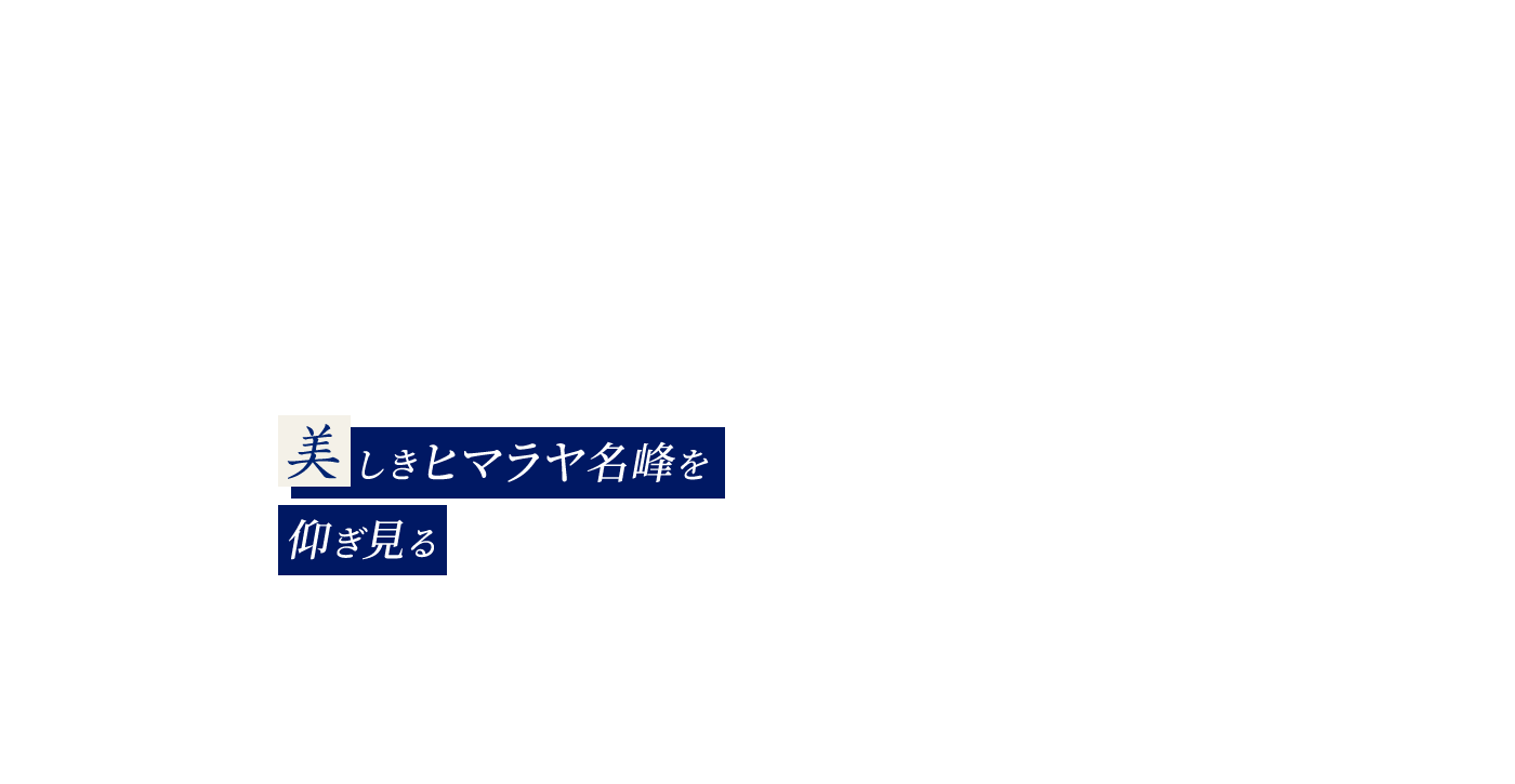 美しきヒマラヤ名峰を仰ぎ見る